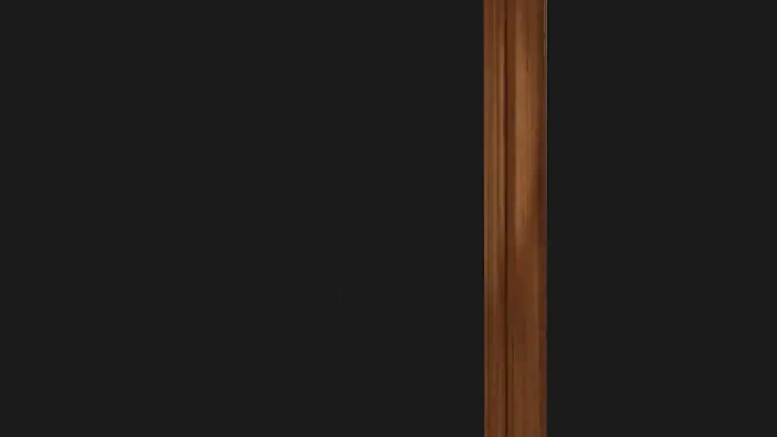 Bathroom Door — Bathroom